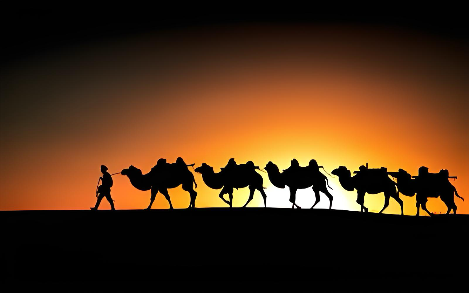 Belt & Road
